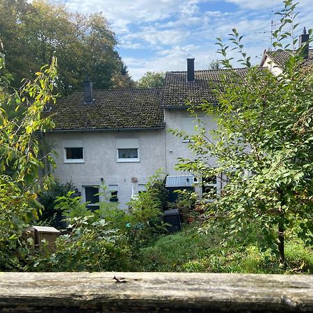 In Saarbruecken Stadtnahe Gemuetliche Wohnung Am Deutsch-Franzoesischen Garten Esterno foto