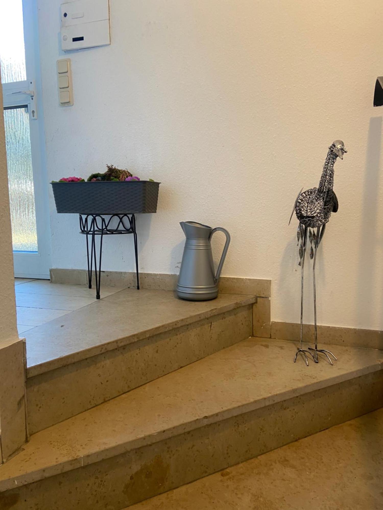 In Saarbruecken Stadtnahe Gemuetliche Wohnung Am Deutsch-Franzoesischen Garten Esterno foto