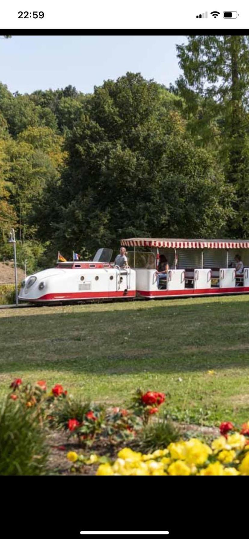 In Saarbruecken Stadtnahe Gemuetliche Wohnung Am Deutsch-Franzoesischen Garten Esterno foto