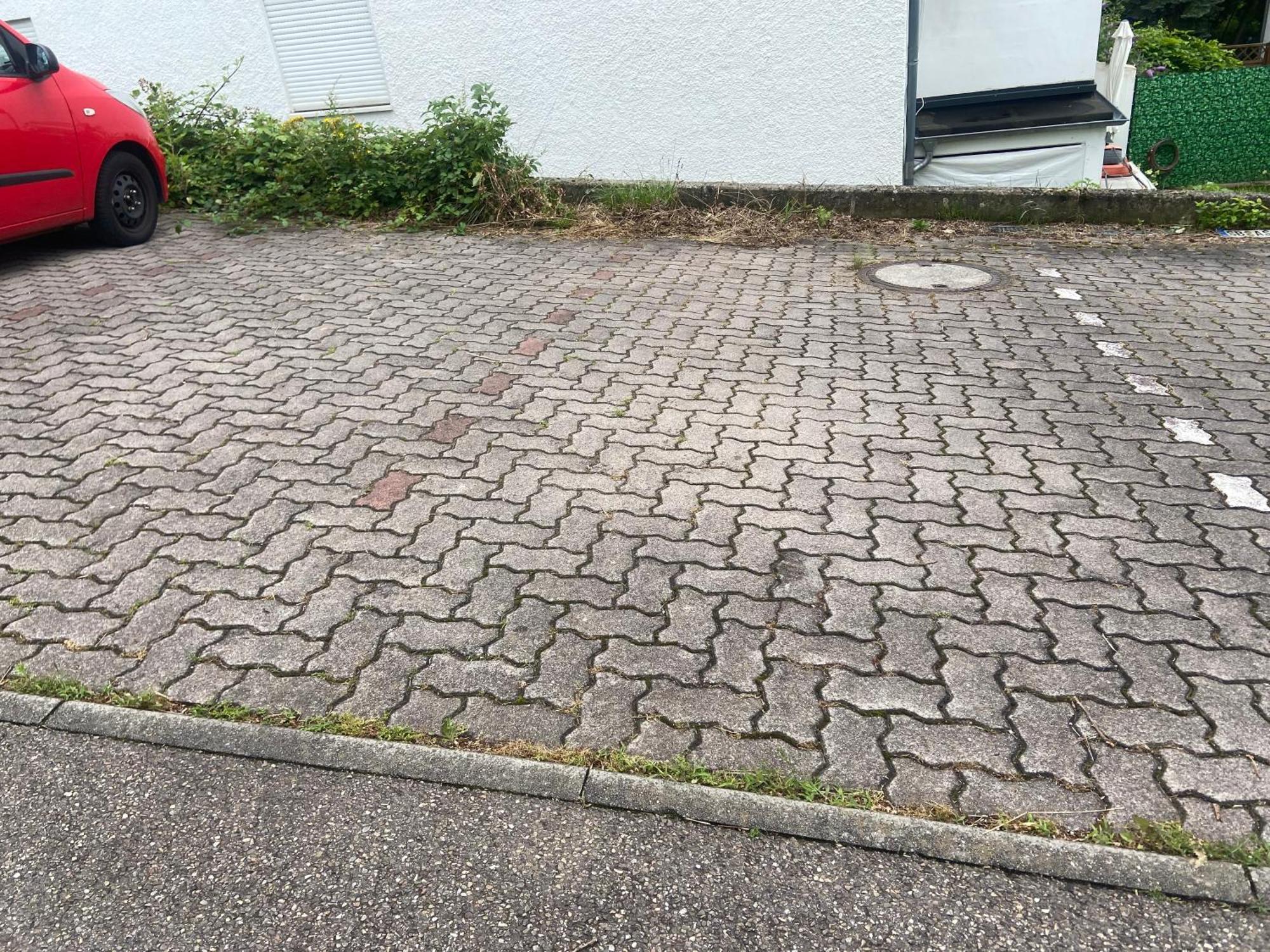 In Saarbruecken Stadtnahe Gemuetliche Wohnung Am Deutsch-Franzoesischen Garten Esterno foto